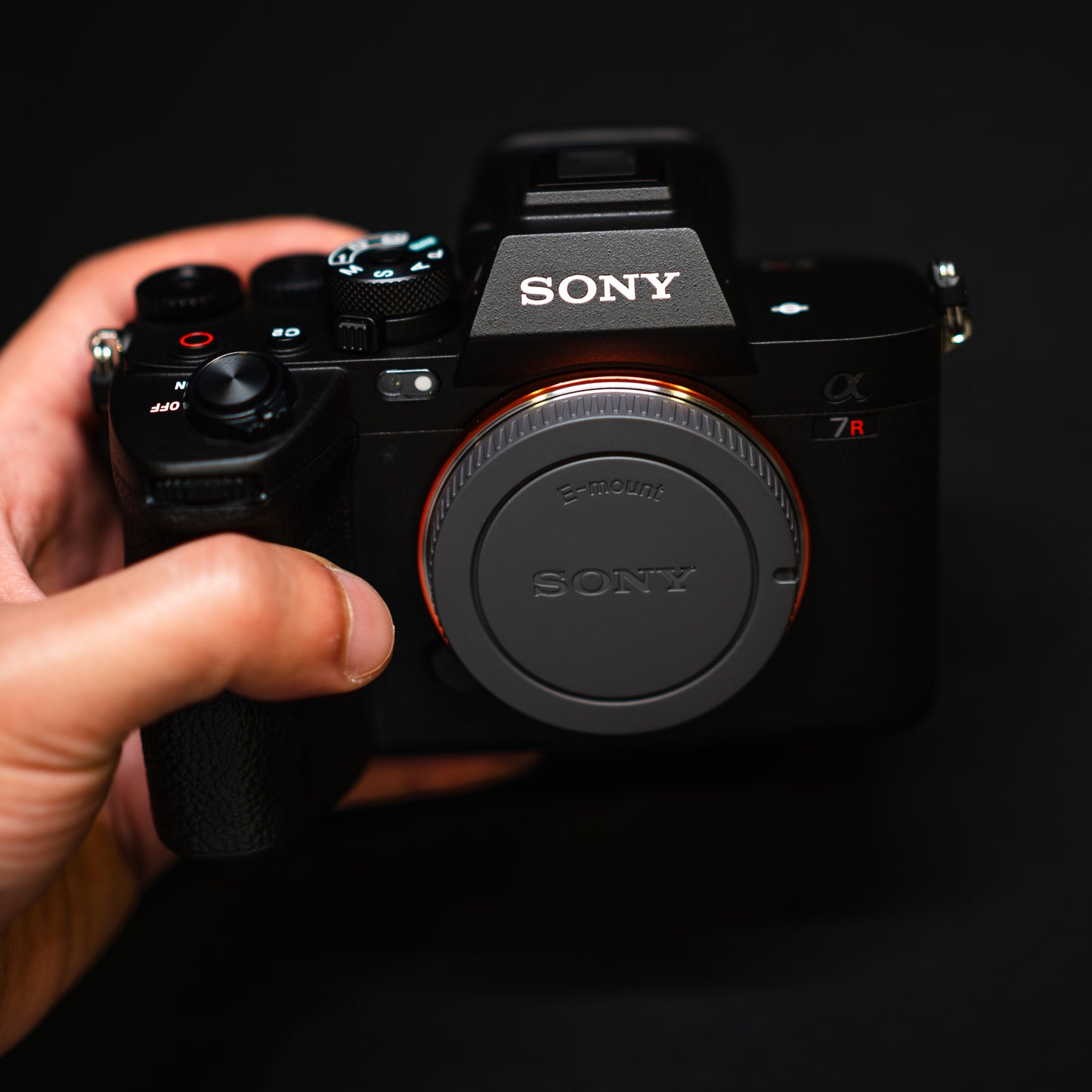 Professional Photography