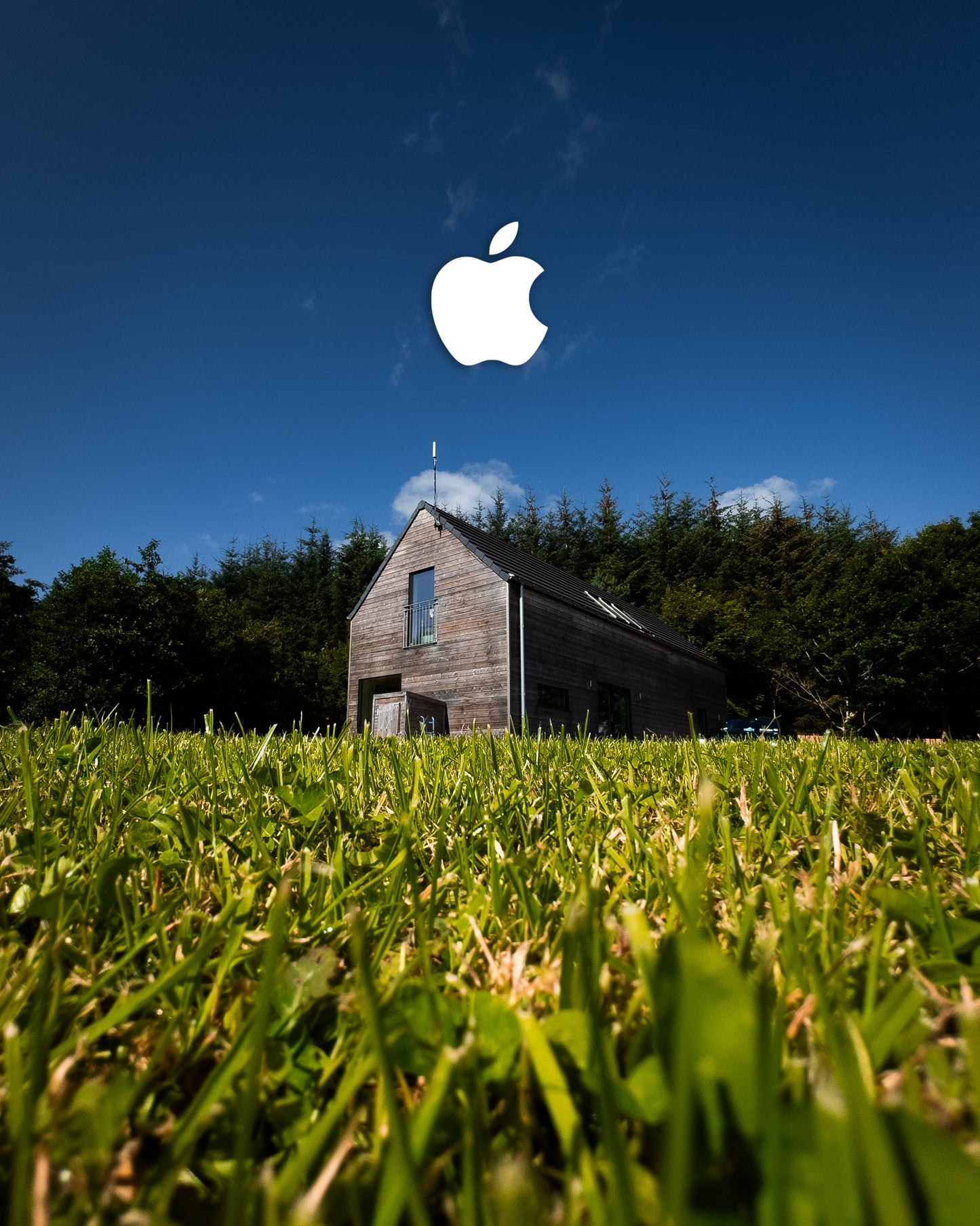 iPhone Photography