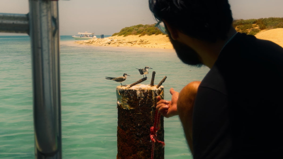iPhone Filmmaking
